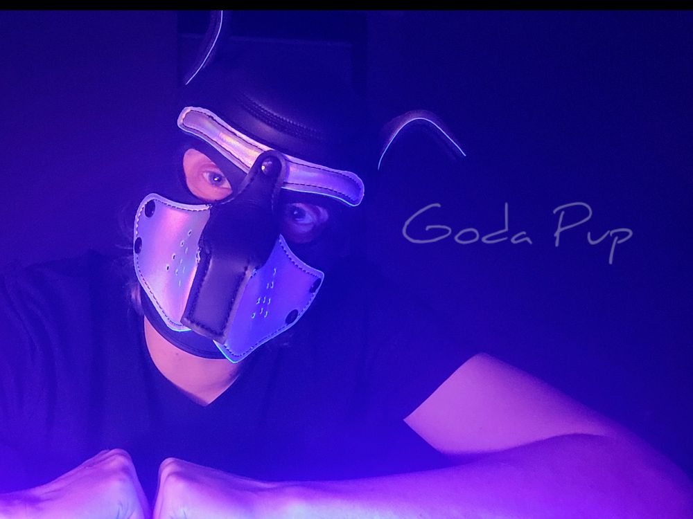 godapup OnlyFans profile picture