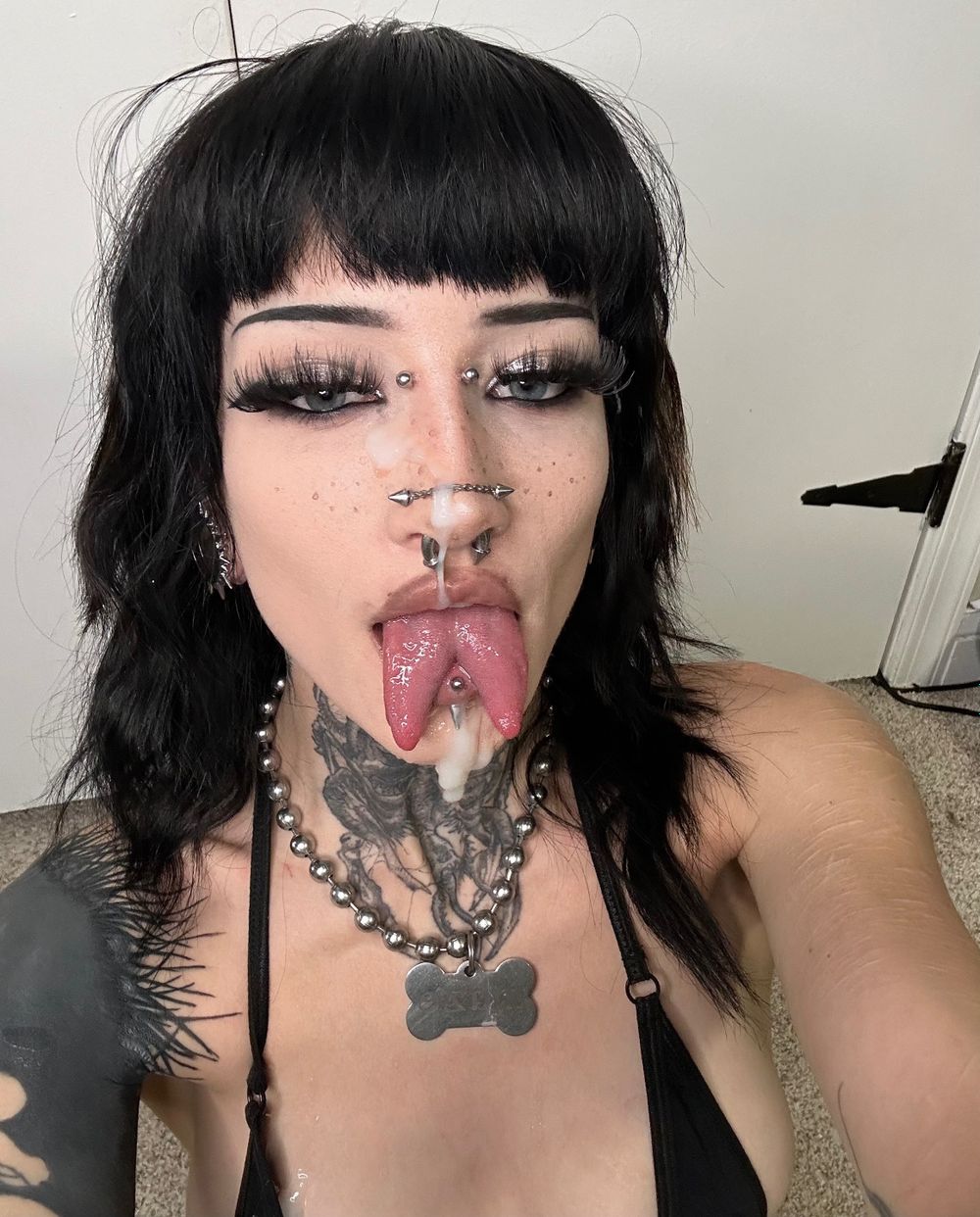 m0rguekitty OnlyFans - Free Trial - Photos - Socials FansMetrics.com