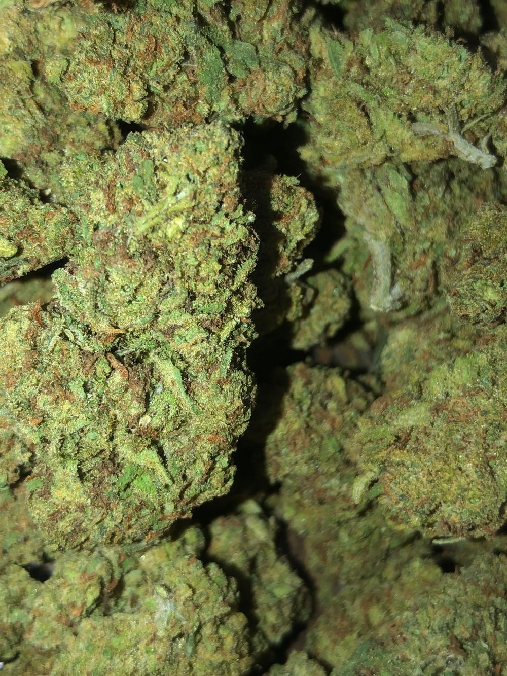 thespicystoner OnlyFans profile picture