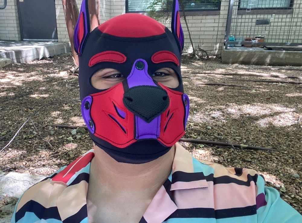 puprein OnlyFans profile picture