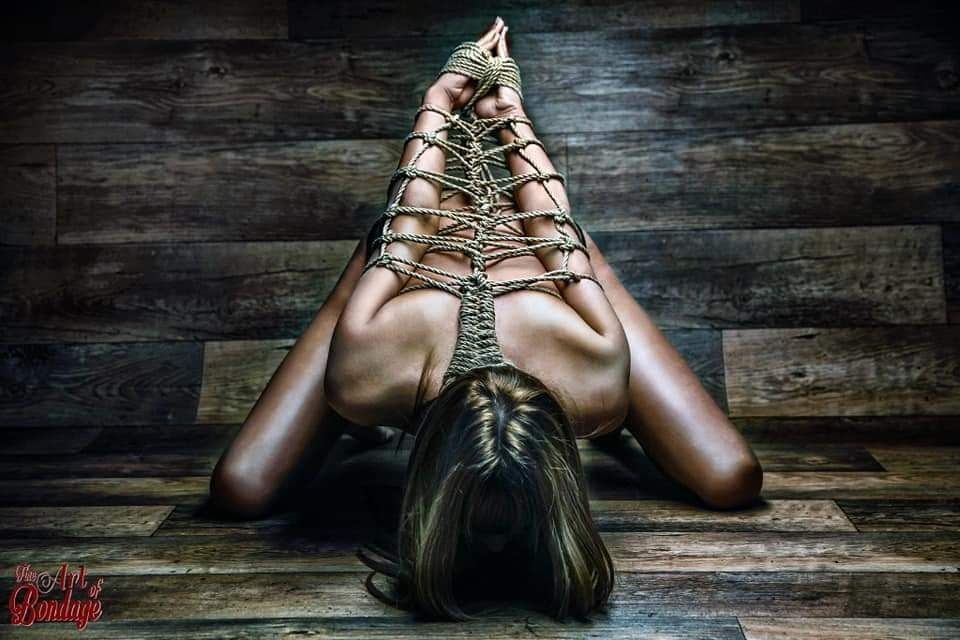 laurenstalise OnlyFans profile picture