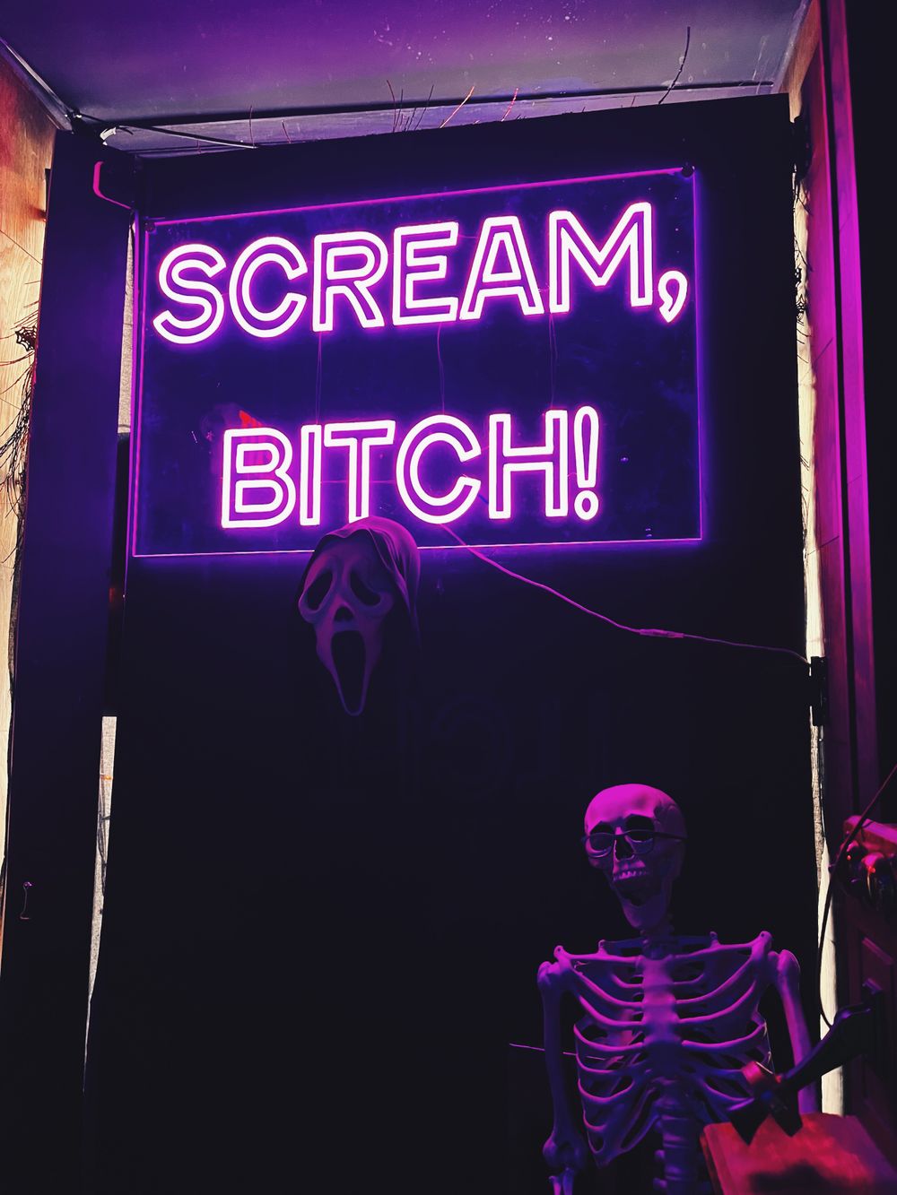 lyssash OnlyFans profile picture