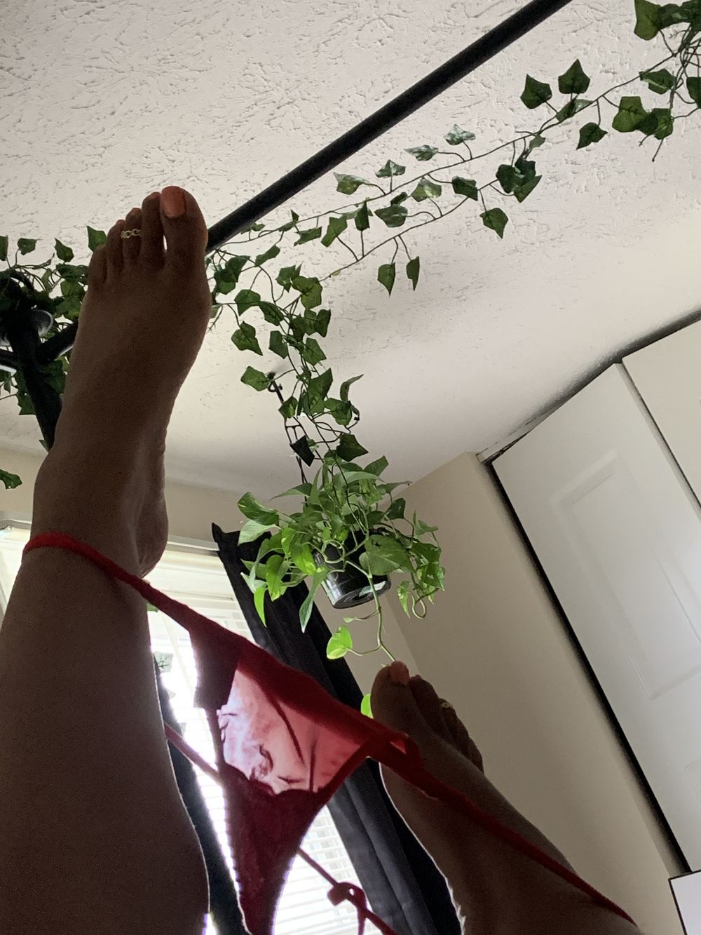 prettyroxisoles OnlyFans profile picture