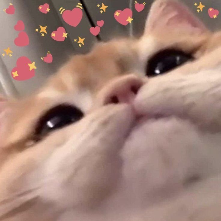 softtattoedboi OnlyFans profile picture