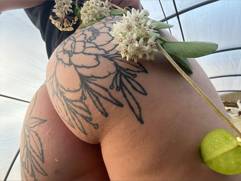 nymphjuice OnlyFans profile picture