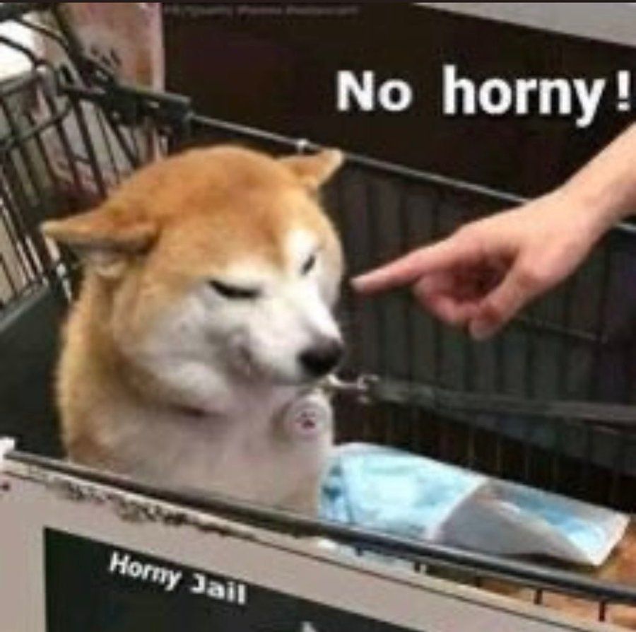 dudewiththedick OnlyFans profile picture