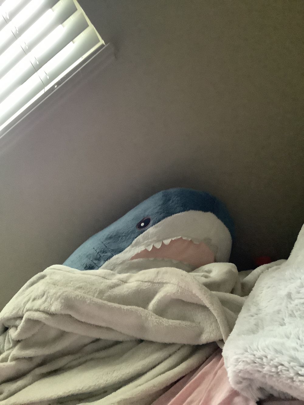 communalpupgirl OnlyFans profile picture