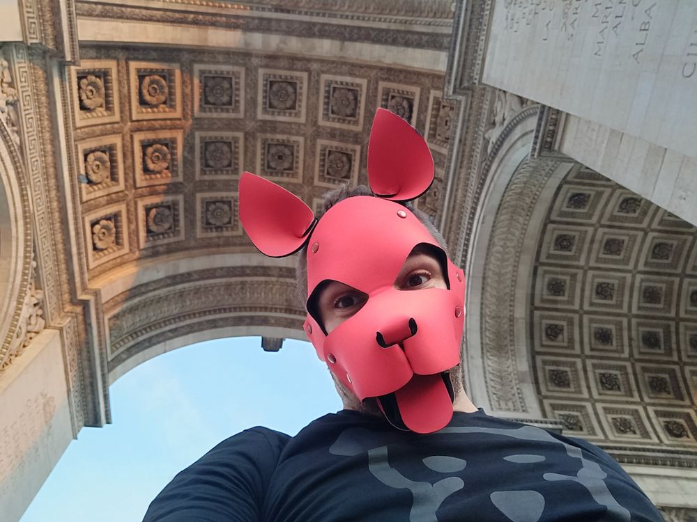 igamenir OnlyFans profile picture