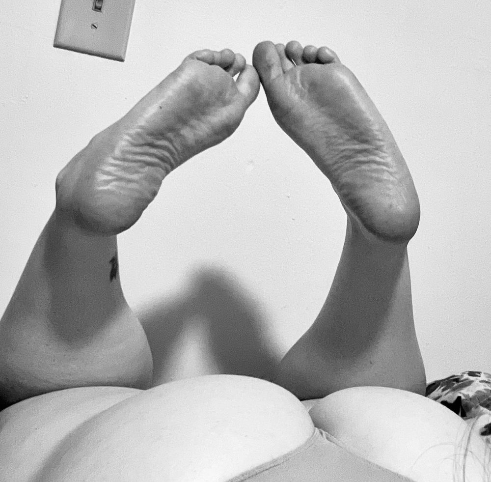 foxymegg OnlyFans profile picture