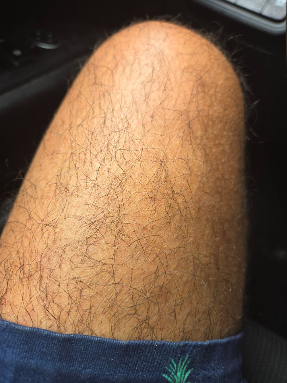 oldestbear OnlyFans profile picture