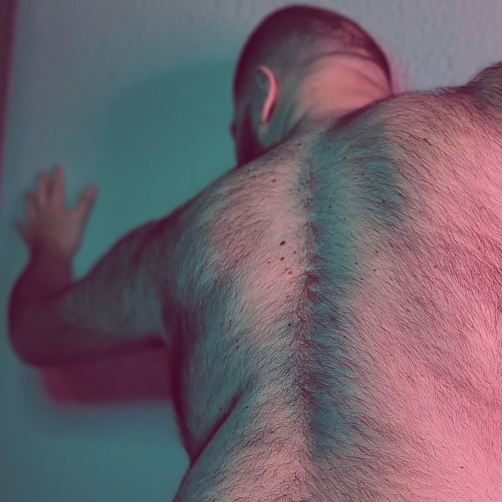 sebanorth OnlyFans profile picture