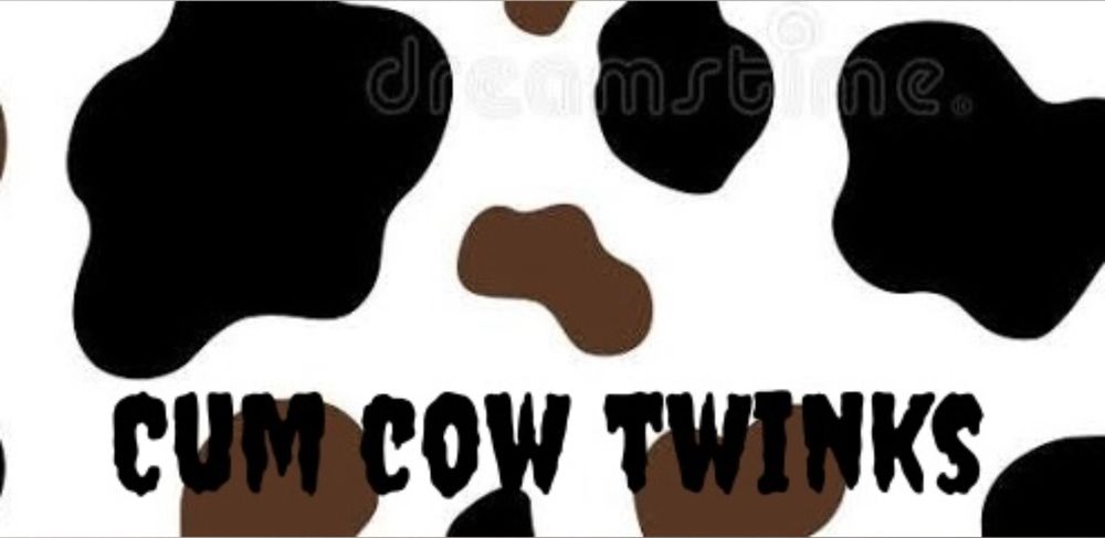 cctwinks OnlyFans profile picture