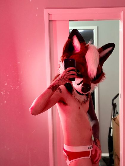 xerothearcticfox OnlyFans picture