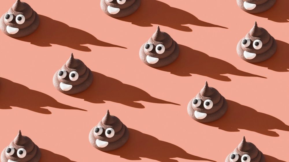 senorpoop OnlyFans profile picture