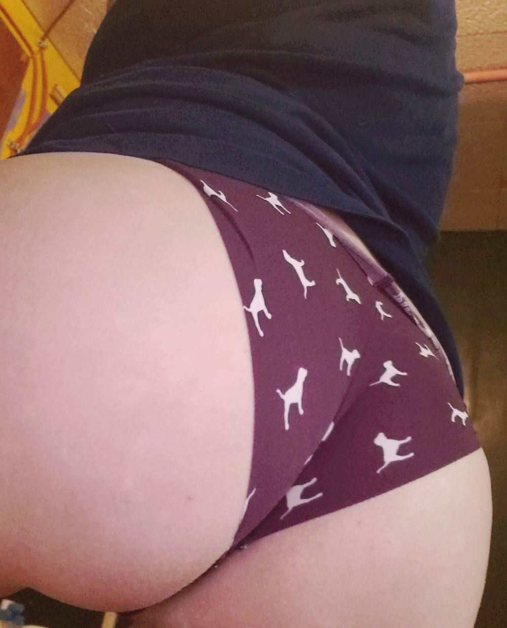 sheanebitch OnlyFans profile picture