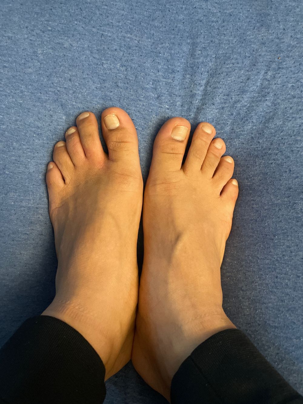 bichogrande1 OnlyFans profile picture