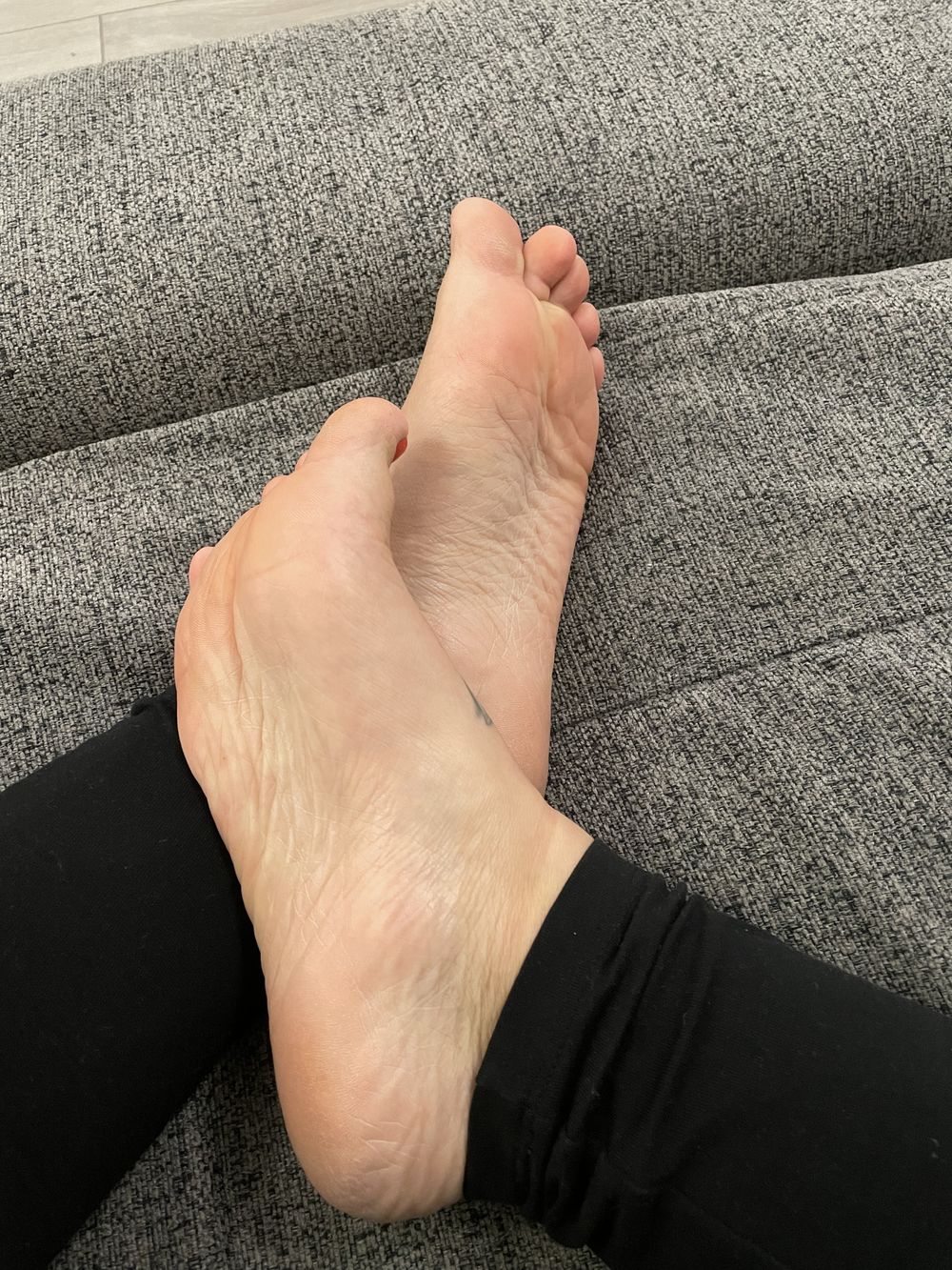 felicityfeet15 OnlyFans profile picture