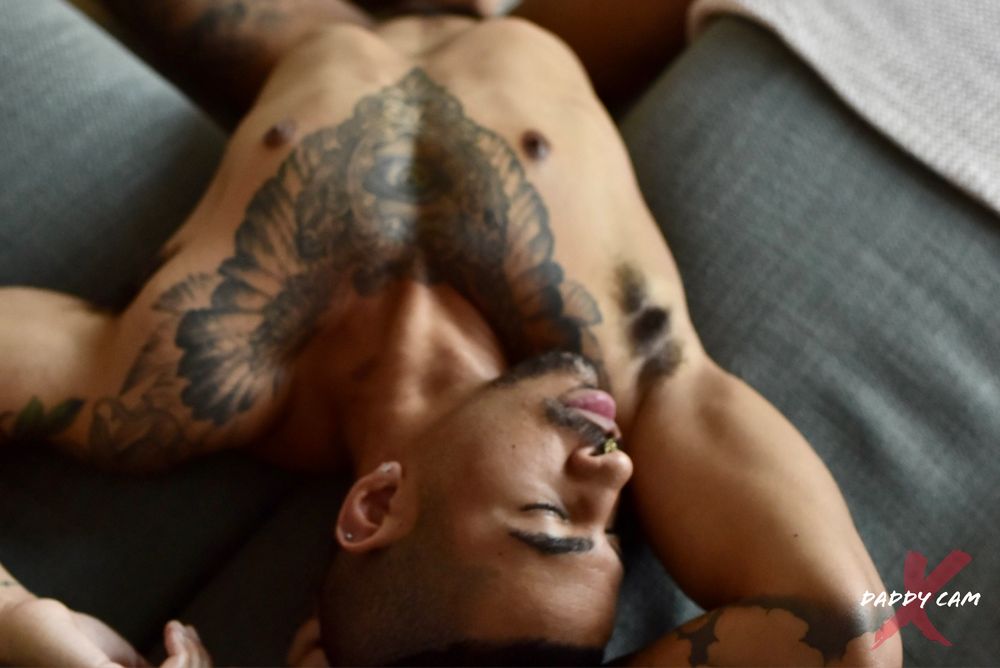 qxvisuals OnlyFans profile picture