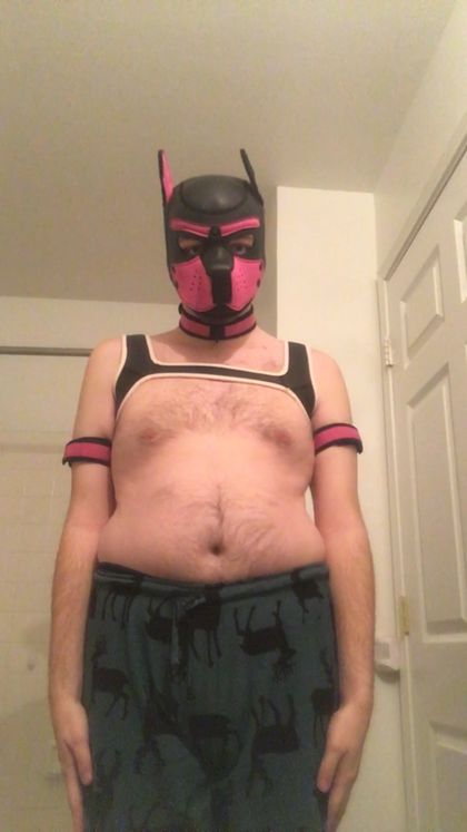 pupcobalt_free OnlyFans picture