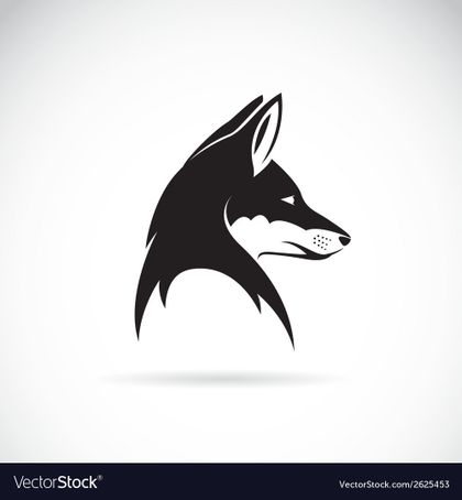 foxbetmentor OnlyFans picture