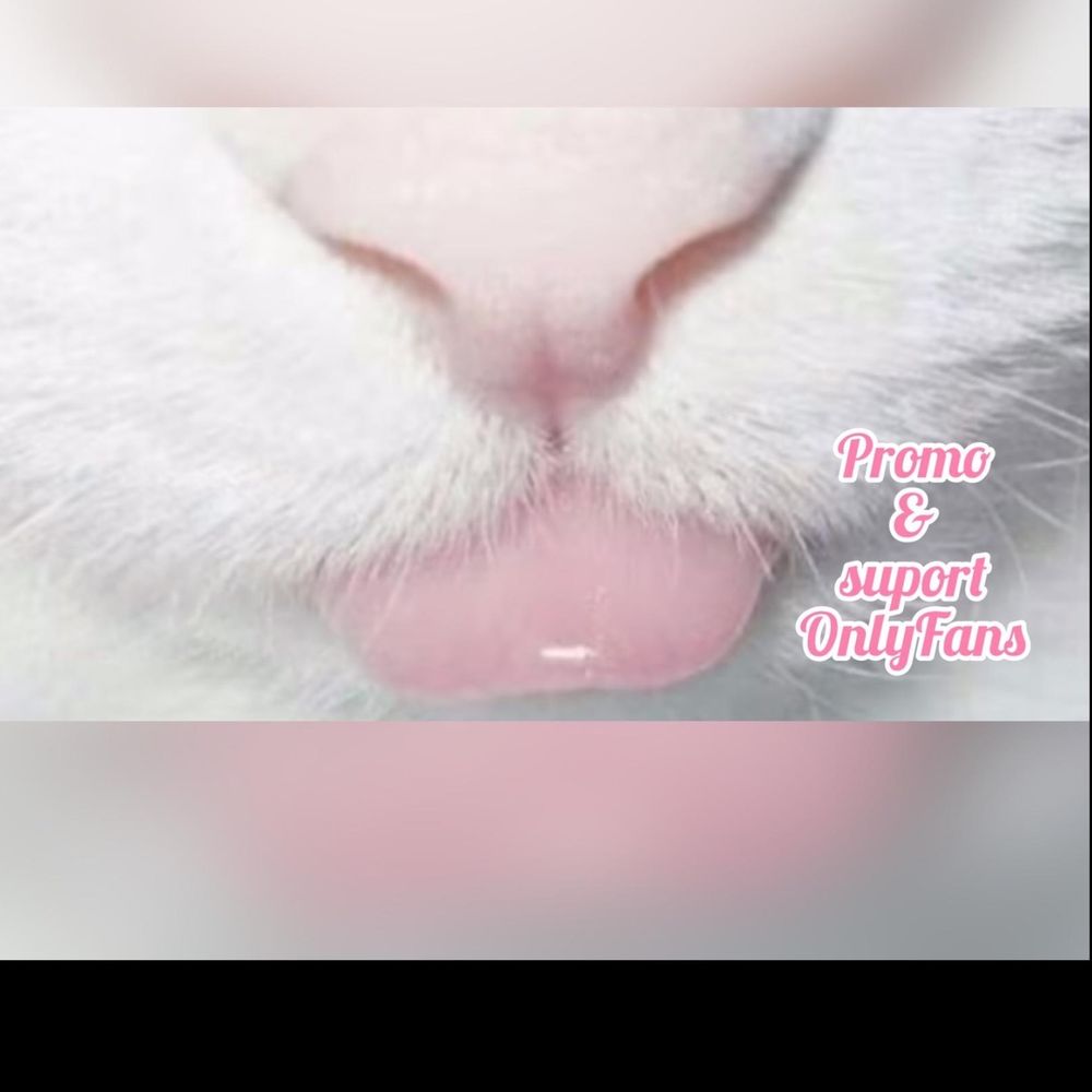 promo_top_models OnlyFans profile picture