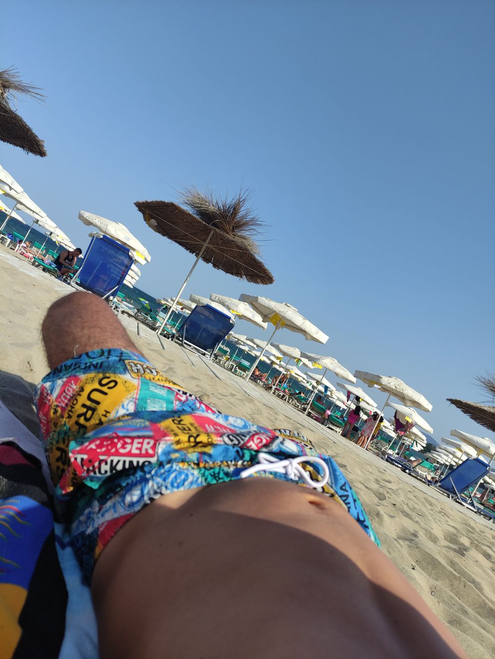 nikcho8888 OnlyFans profile picture