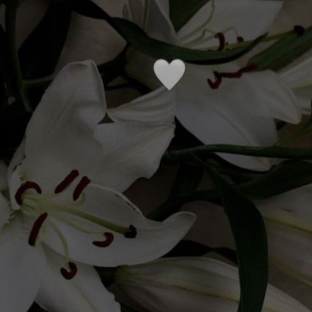 littleonekv OnlyFans profile picture