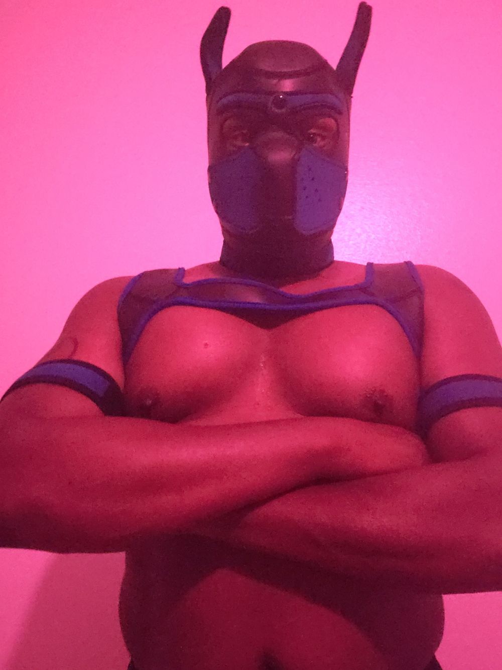 phoenix32 OnlyFans profile picture