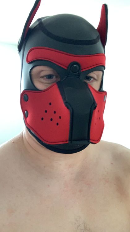 pupfondue OnlyFans picture