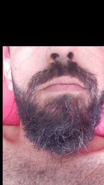Guto barbudo