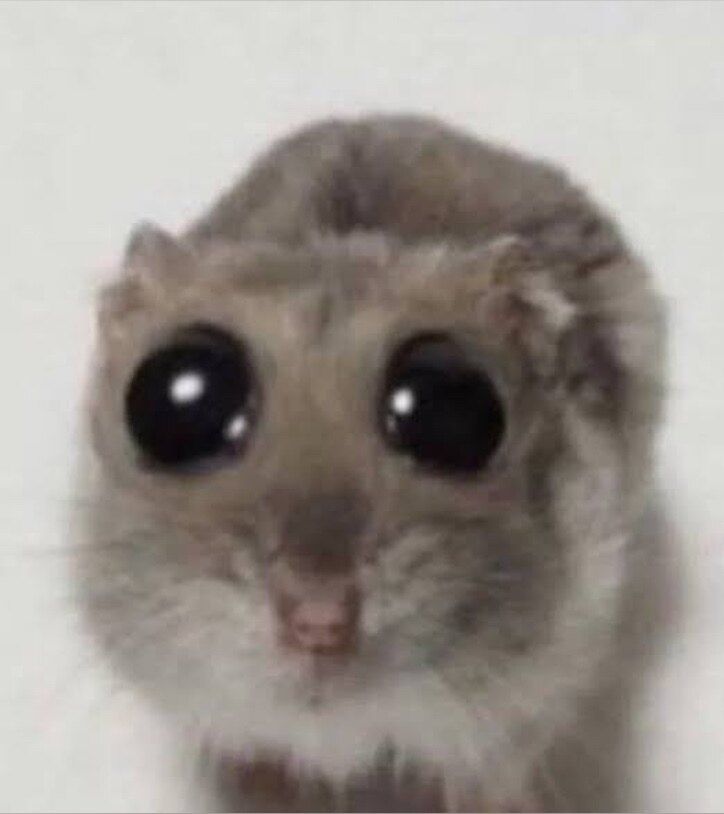 bdgothbff OnlyFans profile picture