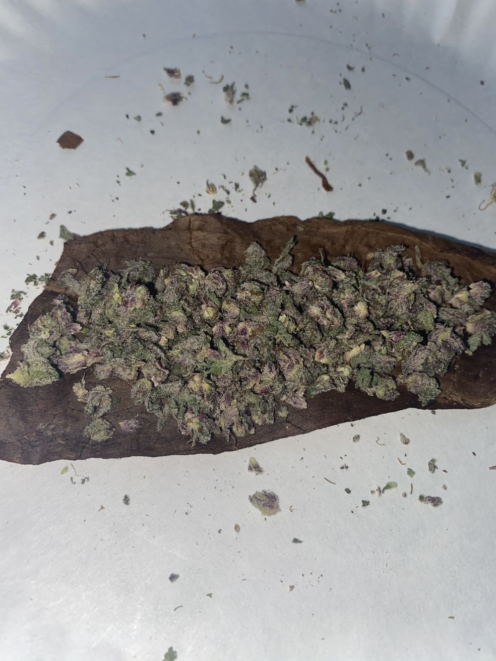 bagchasin420 OnlyFans profile picture