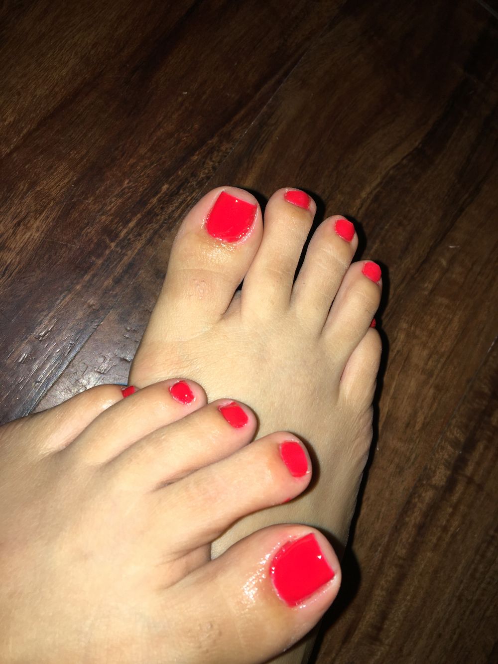senoba OnlyFans profile picture