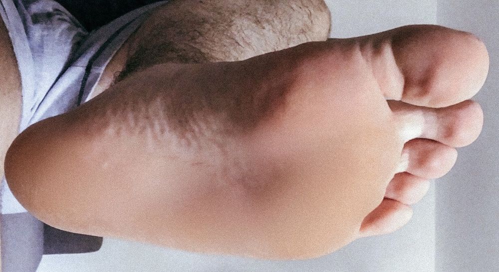 janniksbearfeet OnlyFans profile picture