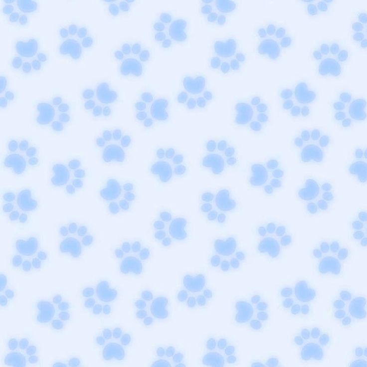 lilpuppydoll OnlyFans profile picture