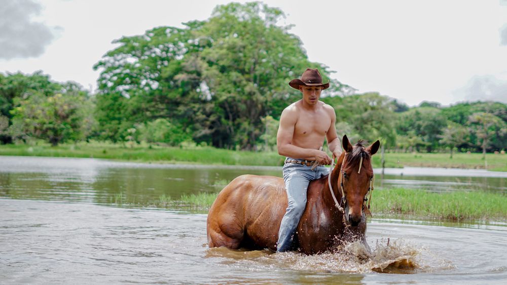 elprofecowboy85 OnlyFans profile picture
