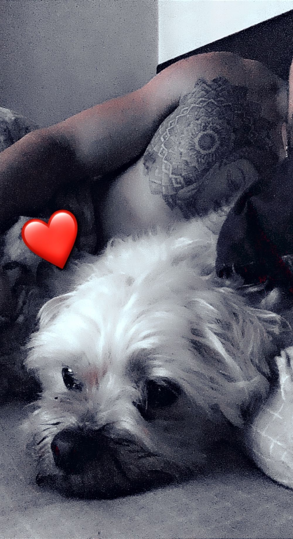 lucifer2334 OnlyFans profile picture