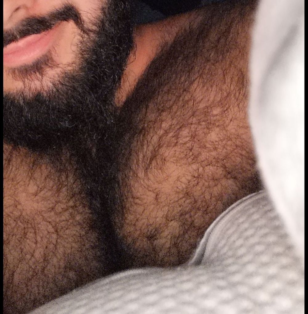 hairbear1 OnlyFans profile picture