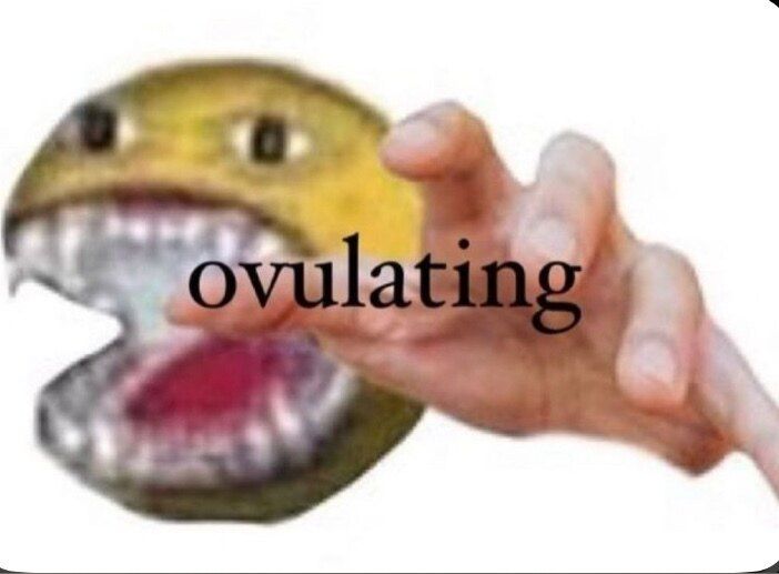 dog-tooth OnlyFans profile picture