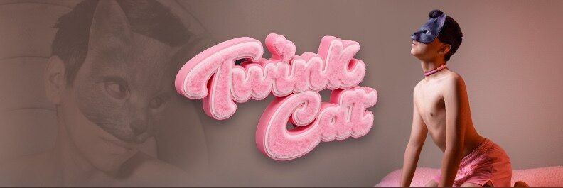 ttwinkcat OnlyFans profile picture