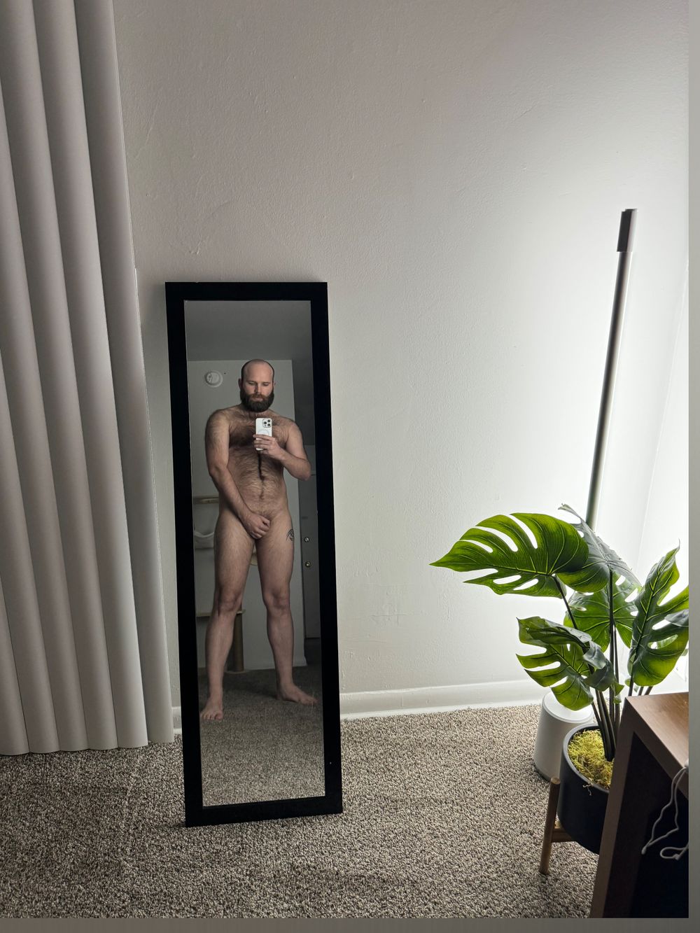 bearryhairy OnlyFans profile picture