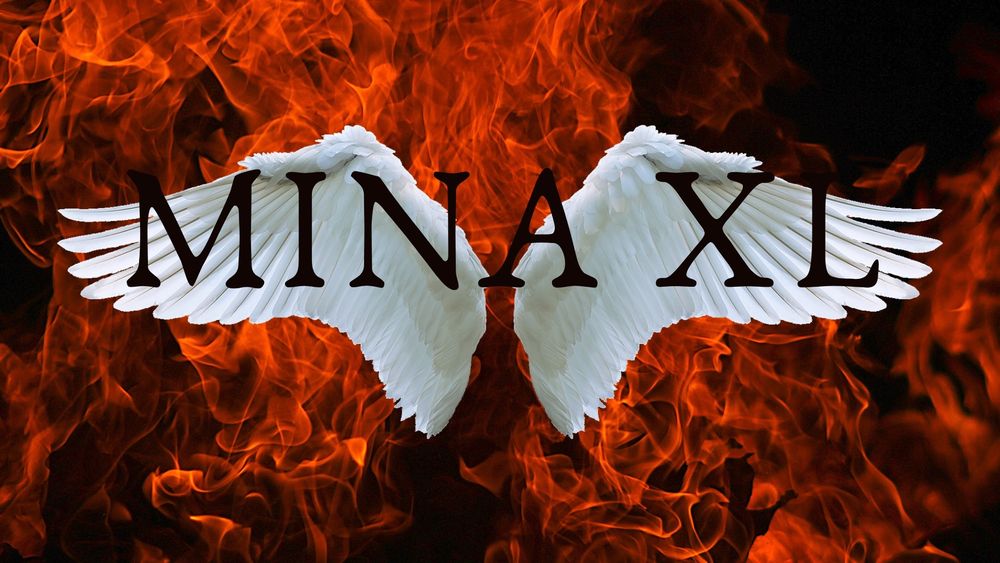 minaxl.35a OnlyFans profile picture