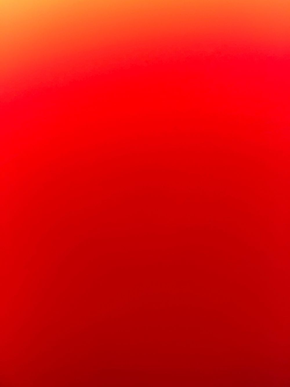 u49533435 OnlyFans profile picture
