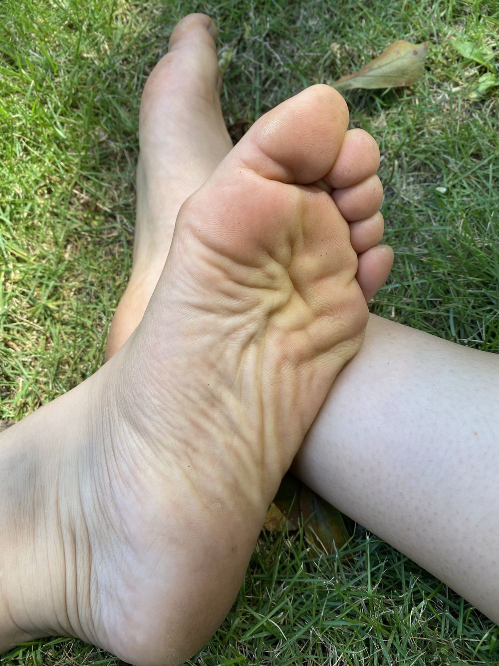 reinastoes OnlyFans profile picture