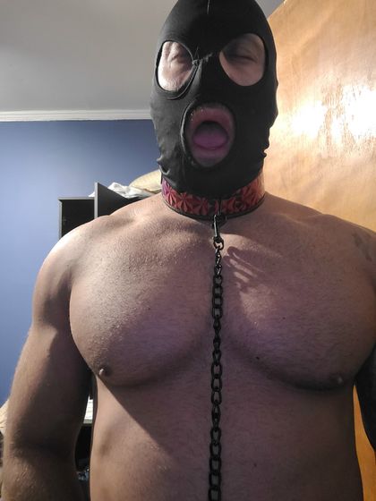 musclemouthtrainee OnlyFans picture