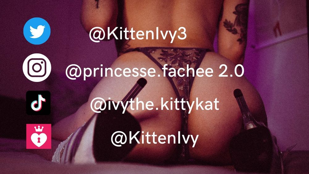 kittenivyfree OnlyFans profile picture
