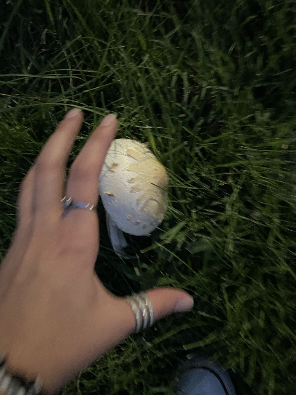 nymphmagik OnlyFans profile picture