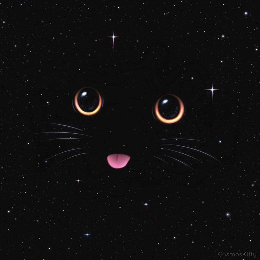 kittenkream69 OnlyFans profile picture