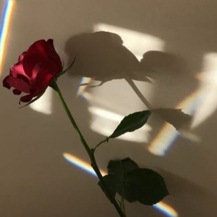 escorpianaa25 OnlyFans profile picture