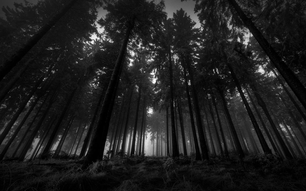 dem0ndicc OnlyFans profile picture